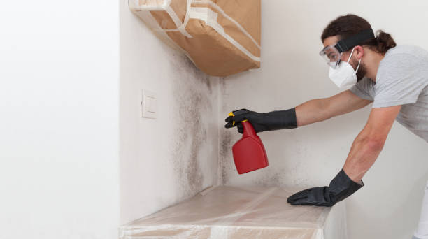 Professional Mold Inspection And Testing technician working in Wakefield, MI
